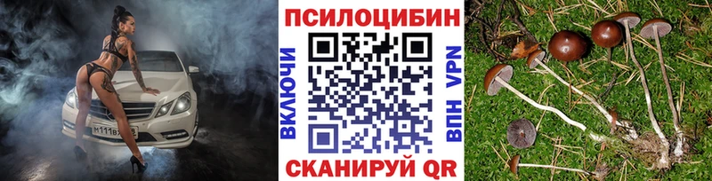 сколько стоит  Агидель  Галлюциногенные грибы мицелий 